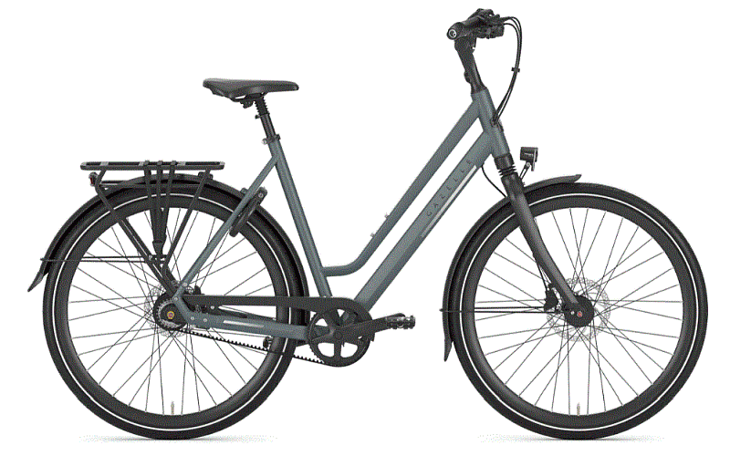 Gazelle Chamonix S8 Hollandrad petrol